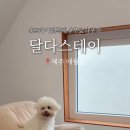 달다스테이 이미지