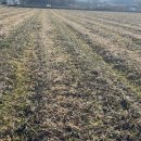 에코환경 이미지