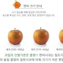 엠와이코퍼레이션