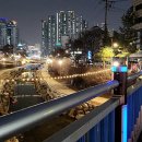 신천로L | 투썸 시흥신천점 달고나라떼 그리고 벚꽃 명소