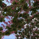 지에스25 하남산단점 이미지