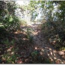 응봉골프연습장 이미지