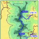 영덕09 Daum카페