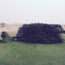 페블비치 이미지