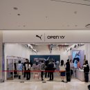 와이와이존 이미지