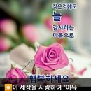 ❇안동 1경&#39;선어대 생태습지 🆘️싹 밀어버린 안동시 /홍수 조절을 위하여 주민불편(농사) 해소하다. 이미지