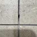 이문56 | [금정역 10년차 구축 아파트 리모델링 줄눈 시공 후기] 케라폭시·빅라이언·스타라이크에보 전문...