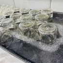 상원 용인대 태권도 이미지