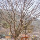 오드래산방 이미지