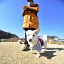 한결 - 군포시 산본로369번길 16 | 한결