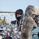 바다소식 이미지