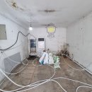 파파펫살롱 이미지