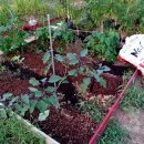 문산그린농약사 이미지