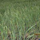 아름농장 이미지