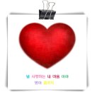 사랑도 Daum카페