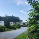 프렌즈키즈풀펜션 이미지