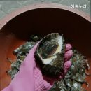해솔누리