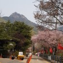 안산초입 화장실 이미지