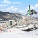 비발디파크
