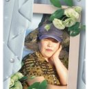 오*남 - 단양군 남한강로 | 오*남