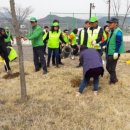 양보생활체육공원 이미지