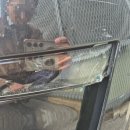 오토카공업사 | [성수동 공업사] 테슬라 주니퍼, 얼마든지 합리적으로 판금 도장 수리가 가능해요