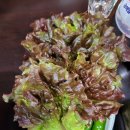 웰빙돈가 이미지