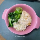 강우동물병원 | 5월 하반기(아직 남아있는 아랑 일상 기록들, 부천장미공원, SIEFF 야외상영회 등등)