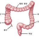 속이 아주 시원하다 ^^ 이미지