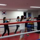 YM복싱클럽 이미지