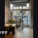 블라썸펫 네이버블로그