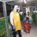 평강공주 이미지