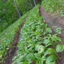 산골농장 이미지