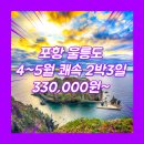 엘도라도모텔 | 울릉도 패키지 여행 2박3일 여행사 / 포항터미널 / 포항_울릉도_2박3일 #쾌속선 #엘도라도
