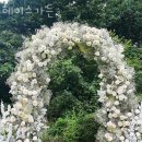 내곡동450 | 내곡동웨딩홀 헤이스가든 상담안내