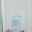 애견프라자 | 부산 강서구 명지 애견카페 오마이구미 ㅣ 실내공간부터 테라스까지 신나게 놀고온 후기
