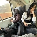 준희농장 | 나 또한 네 청춘이기를