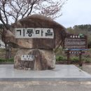 기룡솔밭 이미지