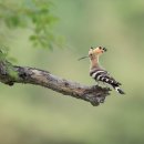 창녕군농업기술센터 이미지