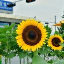 장성역광장 이미지