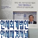 안세컨설팅