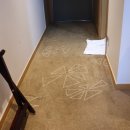 씨크루즈호텔속초 이미지