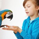 해운대 24시 동물의료원 이미지