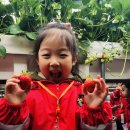 유진2농장 이미지