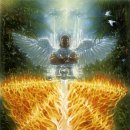 분노의 승화 이미지