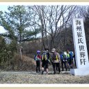 신가팔환초(강북9산팀과) 이미지