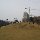 선성군 묘역 및 석물 이미지