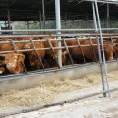 흑석 마을회관 이미지