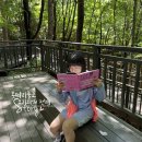 알쏭달쏭 과학교실 | 12세과학 학습만화 용선생 초등과학전집 선택!