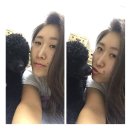 (주)오디바이크